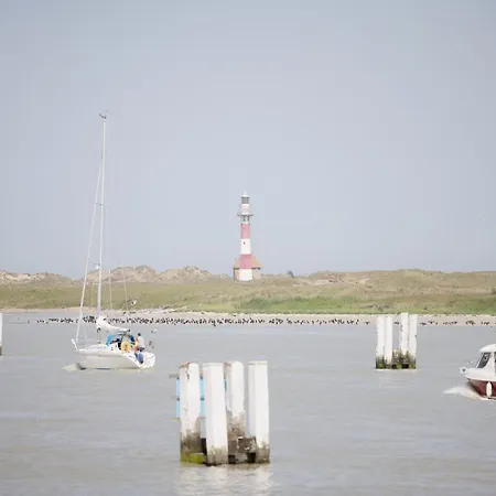 In Located Near The Sea, Cleaning Included
