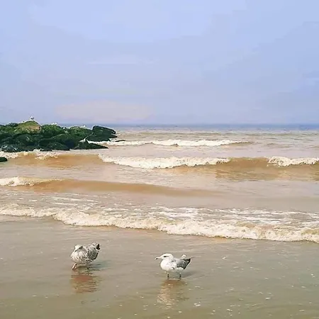 Appartement In Located Near The Sea, Cleaning Included *