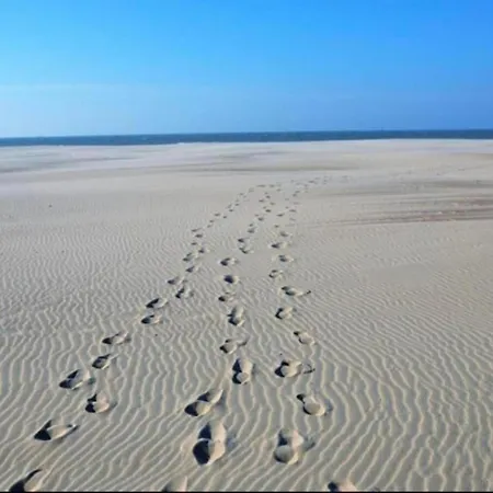 In Located Near The Sea, Cleaning Included