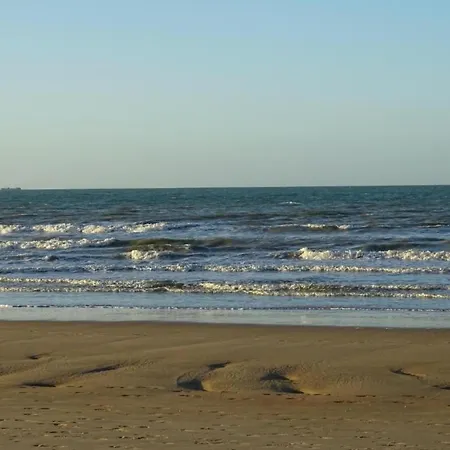 Appartement In Located Near The Sea, Cleaning Included