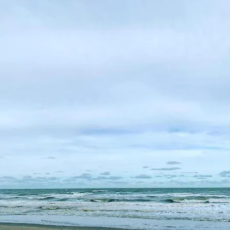 In Located Near The Sea, Cleaning Included Appartement *